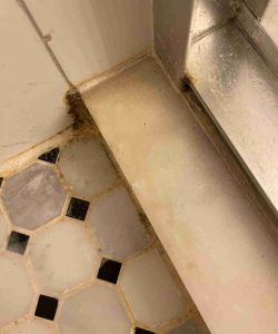 Mold and grime buildup is visible along the edges of a shower floor and wall near a tiled area.