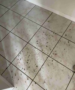 Dirty white tiled floor with scattered clumps of dark hair and debris near the wall and doorway.
