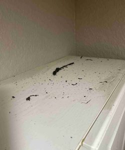 White shelf with scattered dirt and debris against a textured, two-toned beige wall in the corner of a room.