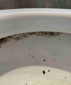 Close-up of a dirty toilet bowl with stains, mold, and debris along the inner rim.