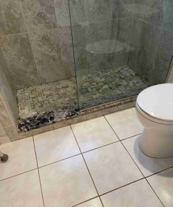 A tiled shower with glass walls shows visible mold or mildew along the shower base near a white toilet.