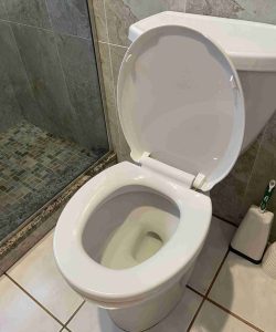 A white toilet with an open lid next to a shower in a tiled bathroom; a toilet brush is nearby.
