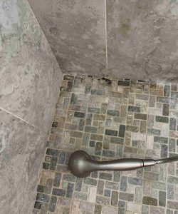 Shower floor with tile mosaic, a detachable showerhead, and visible mold or mildew in the corner grout lines.