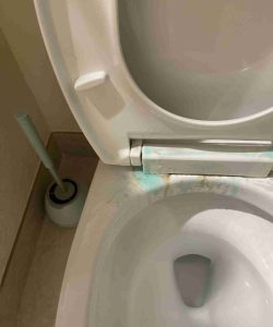 Open toilet with visible blue and brown stains on the seat hinge area; toilet brush is nearby on the floor.