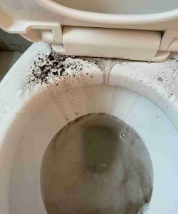 Dirty toilet with dark grime and debris on the seat hinge area and murky water inside the bowl.