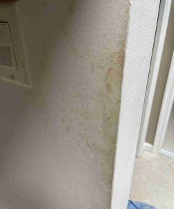 Wall with visible water damage and discoloration near a light switch, with peeling paint and uneven surface texture.